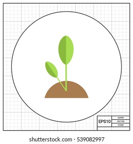 Growing spout