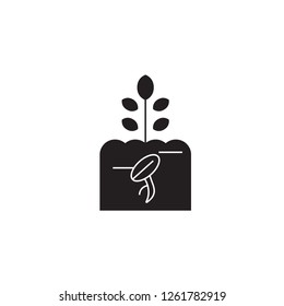 Growing sprout black vector concept icon. Growing sprout flat illustration, sign