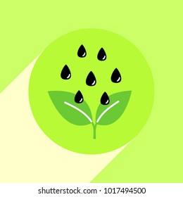 Growing sprout flat icon with long shadow. Vector graphic illustration.