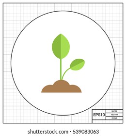 Growing sprout icon