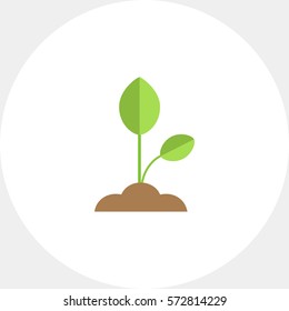 Growing Sprout Icon