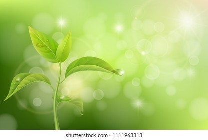 Growing sprout on green background with effect bokeh and glare.