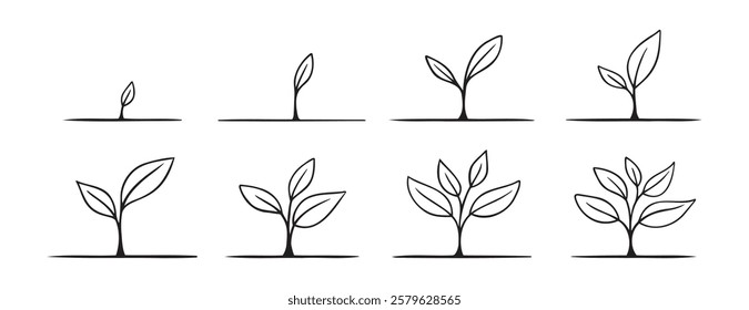 Growing sprout plant doodle hand drawn icon set. Growth phases and stages outline drawing line clipart symbol collection. Vector illustration