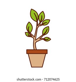 growing tree green sprouts rising from ceramic pot concept