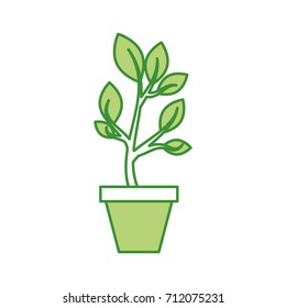 growing tree green sprouts rising from ceramic pot concept