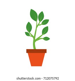 growing tree green sprouts rising from ceramic pot concept