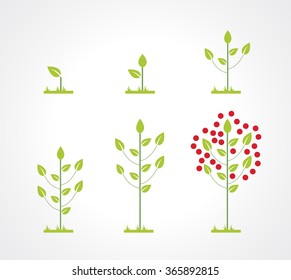 Growing tree icon set