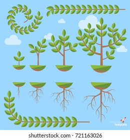 Growing tree Presentation template with the evolution of a tree
