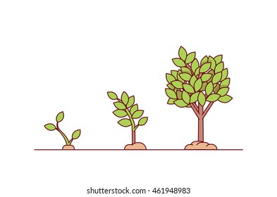 Growing tree seed with green leafs. Young sprouts rising from good fertilised soil. Growth stages. Modern flat style thin line vector illustration isolated on white background