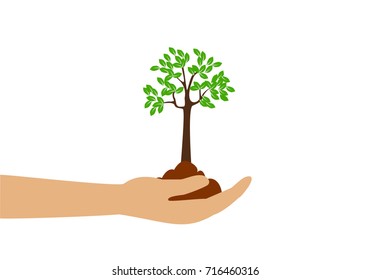 Growing tree in soil on hand isolated on white background. Eco green concept