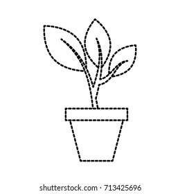 growing tree sprouts rising from ceramic pot concept