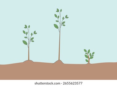 Growing Tree Stages Simple Illustration
A simple flat illustration of three young trees at different stages of growth. Ideal for themes such as environmental education, sustainability, reforestation, 