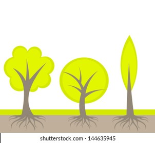 Growing trees with roots. Vector illustration
