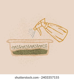 Growing vegetable seedlings at home. Spraying seeds from the bottle. Indoor gardening concept