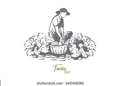 Growing vegetables concept sketch. Isolated vector illustration