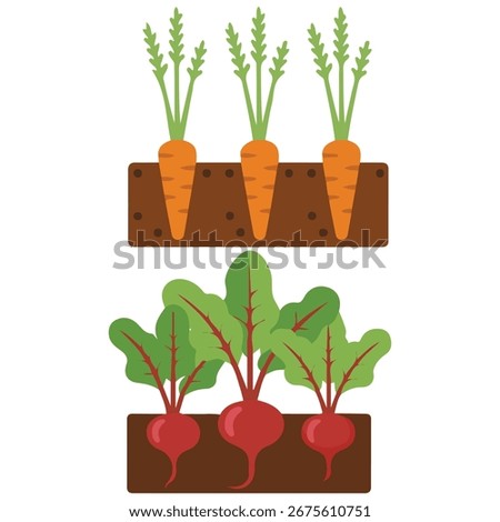 Growing vegetables garden isolated vector illustration on white background
