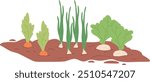 Growing vegetables. Gardening ground with green organic plants isolated on white background