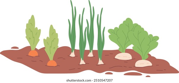 Growing vegetables. Gardening ground with green organic plants isolated on white background