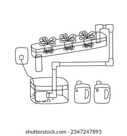 Growing vegetables in hydroponics system.