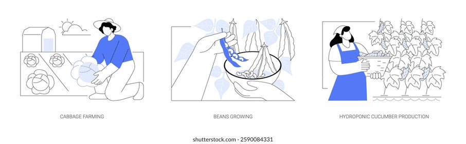 Growing vegetables isolated cartoon vector illustrations set. Farmer growing cabbage on field, beans plantation, hydroponic greenhouse, cucumber production, agriculture business vector cartoon.