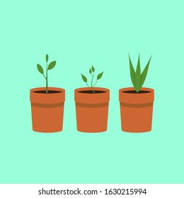 Growing vegetables in a pot. Types of seedlings in pots. Colored flat icons, illustrations with vegetables and seedlings. Isolated vector illustration.