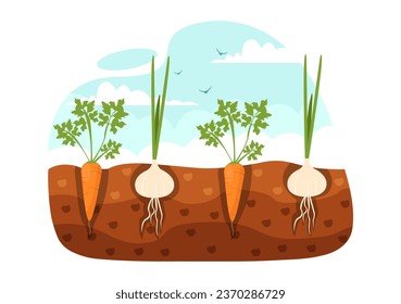 Growing Vegetables Vector Illustration with Harvest, Farming Various Vegetable and Organic Natural Crop at a Garden in Kids Cartoon Background Design