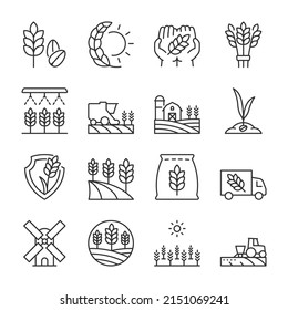 Iconos de trigo en crecimiento. Cultivación de plantas de cereales. Campos agrícolas. Agricultura. Negocios agrarios, colección de iconos lineales. Línea con trazo editable