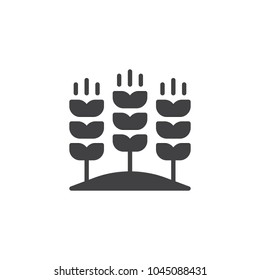 Growing wheat on field vector icon. filled flat sign for mobile concept and web design. Agricultural wheat ears simple solid icon. Symbol, logo illustration. Pixel perfect vector graphics