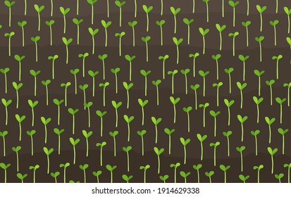 Growing young cereals plant shoots. Agricultural seedlings field landscape. Crops began to green sprout in the spring brown soil. Vector illustration.