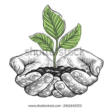 Growing young green plant with leaves with ground in hands. Human palms holding sprout. Clipart sketch drawing