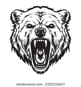 Growling bear head isolated on white background. Vector illustration.