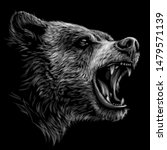 Growling Bear.  Monochrome portrait of a brown bear a black background.	
