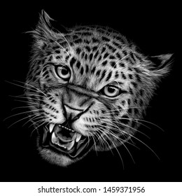 Growling leopard. Black and white  hand-drawn portrait of a growling leopard on a black background.