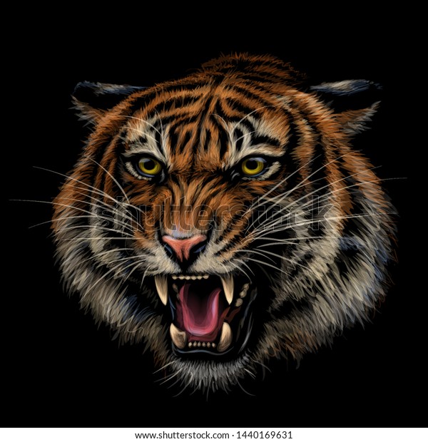 Growling Tiger Color Handdrawn Portrait Growling Stok Vektor Telifsiz 1440169631