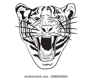 Growling tiger portrait in isolate on white background. Vector illustration.
