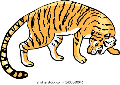 Growling tiger, vector illustration, isolated.