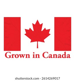 Grown in Canada price tag label for produce. Canadian product sticker commerce business. Badge or seal symbol in red and white. Emblem as certificate of manufacturing timber on Canadian soil. Vector.