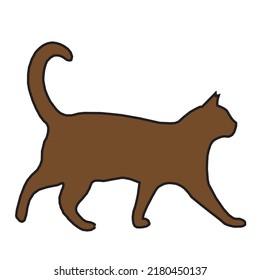 grown cat. white background. Vector illustration. Icon cat.