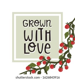 Grown with love card and banner, label design. Fun hand drawn lettering text and tomato vine. Organic, healthy food and non-gmos concept. Flat vector illustration.