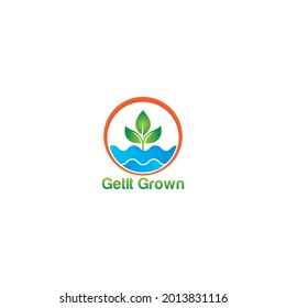 Grown Plane logo vector design icon template. 