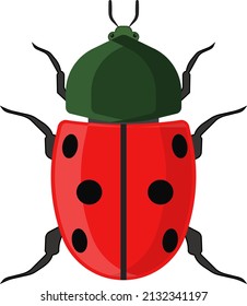 Grown red ladybug, illustration, vector on a white background.