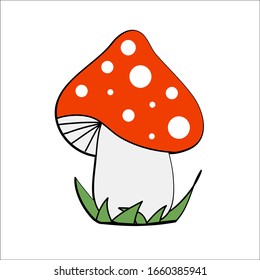 Grows in the grass mushroom amanita - vector color image. Cartoon bright red mushroom with white dots. Vector hand drawn illustration