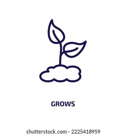 grows icon from nature collection. Thin linear grows, growing, growth outline icon isolated on white background. Line vector grows sign, symbol for web and mobile