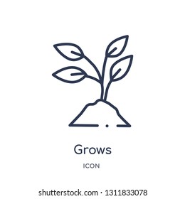 grows icon from nature outline collection. Thin line grows icon isolated on white background.