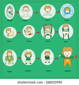 The growth of baby vector