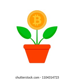 Growth bit coin. Crypto potted plant. Vector bitcoin finance, financial crypto growing, btc profit increase illustration
