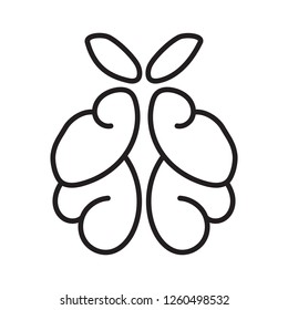 Growth brain bean