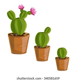 the growth cactus plants in pots. vector illustration