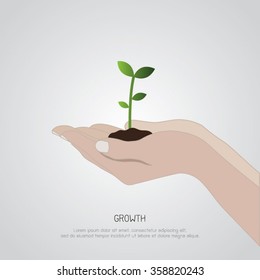 Growth concept. hands holding growing tree plant. saving environment 