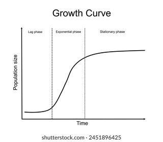 The Growth curves of relationship between population size and the growth period that identify in lag, Exponential or log, and stationary phase.